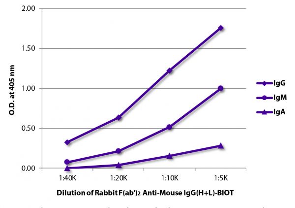 ELISA plate was coated with purified mouse IgG, IgM, and IgA.  Immunoglobulins were detected with serially diluted Rabbit F(ab')<sub>2</sub> Anti-Mouse IgG(H+L)-BIOT (SB Cat. No. 6120-08) followed by Streptavidin-HRP (SB Cat. No. 7100-05).