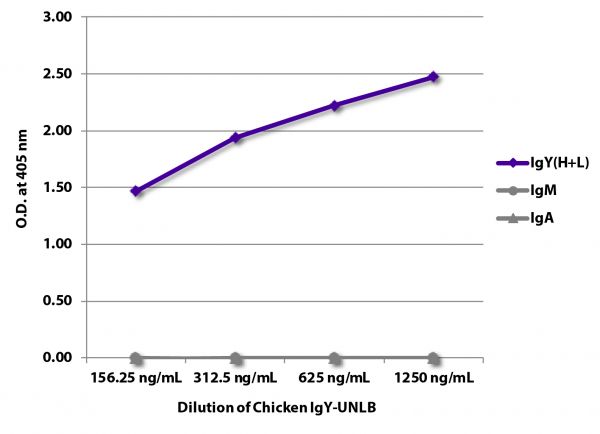 ELISA plate was coated with serially diluted Chicken IgY-UNLB (SB Cat. No. 0170-01). Immunoglobulin was detected with Goat Anti-Chicken IgY(H+L)-BIOT (SB Cat. No. 6100-08), Mouse Anti-Chicken IgM-BIOT (SB Cat. No. 8300-08), and Mouse Anti-Chicken IgA-BIOT (SB Cat. No. 8330-08) followed by Streptavidin-HRP (SB Cat No. 7100-05) and quantified.