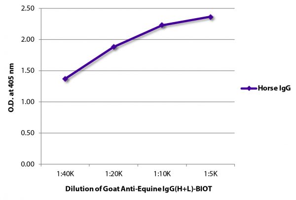 ELISA plate was coated with purified horse IgG.  Immunoglobulin was detected with Goat Anti-Equine IgG(H+L)-BIOT (SB Cat. No. 6040-08) followed by Streptavidin-HRP (SB Cat. No. 7100-05).