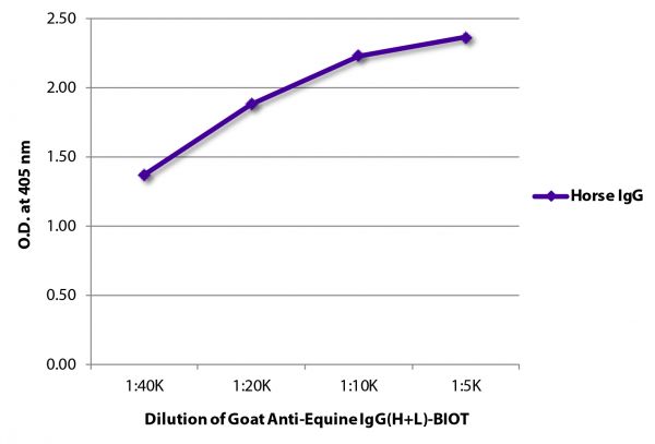 ELISA plate was coated with purified horse IgG. Immunoglobulin was detected with Goat Anti-Equine IgG(H+L)-BIOT (SB Cat. No. 6040-08) followed by Streptavidin-HRP (SB Cat. No. 7100-05).