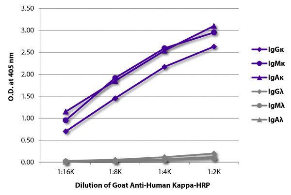 ELISA plate was coated with purified human IgGκ, IgMκ, IgAκ, IgGλ, IgMλ, and IgAλ. Immunoglobulins were detected with serially diluted Goat Anti-Human Kappa-HRP (SB Cat. No. 2060-05).