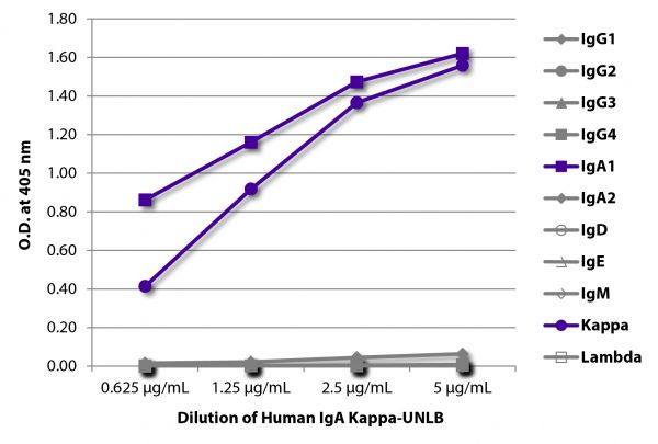ELISA plate was coated with serially diluted Human IgA Kappa-UNLB (SB Cat. No. 0155K-01). Immunoglobulin was detected with Mouse Anti-Human IgG<sub>1</sub> Hinge-BIOT (SB Cat. No. 9052-08), Mouse Anti-Human IgG<sub>2</sub> Fc-BIOT (SB Cat. No. 9060-08), Mouse Anti-Human IgG<sub>3</sub> Hinge-BIOT (SB Cat. No. 9210-08), Mouse Anti-Human IgG<sub>4</sub> pFc'-BIOT (SB Cat. No. 9190-08), Mouse Anti-Human IgA<sub>1</sub>-BIOT (SB Cat. No. 9130-08), Mouse Anti-Human IgA<sub>2</sub>-BIOT (SB Cat. No. 9140-08), Mouse Anti-Human IgD-BIOT (SB Cat. No. 9030-08), Mouse Anti-Human IgE Fc-BIOT (SB Cat. No. 9160-08), Mouse Anti-Human IgM-BIOT (SB Cat. No. 9020-08), Mouse Anti-Human Kappa-BIOT (SB Cat. No. 9230-08), and Mouse Anti-Human Lambda-BIOT (SB Cat. No. 9180-08) followed by Streptavidin-HRP (SB Cat. No. 7100-05) and quantified.