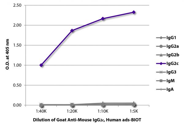 ELISA plate was coated with purified mouse IgG<sub>1</sub>, IgG<sub>2a</sub>, IgG<sub>2b</sub>, IgG<sub>2c</sub>, IgG<sub>3</sub>, IgM, and IgA.  Immunoglobulins were detected with serially diluted Goat Anti-Mouse IgG<sub>2c</sub>, Human ads-BIOT (SB Cat. No. 1079-08) followed by Streptavidin-HRP (SB Cat. No. 7100-05).