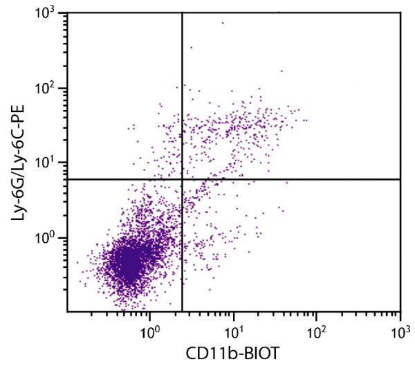 BALB/c mouse splenocytes were stained with Rat Anti-Mouse CD11b-BIOT (SB Cat. No. 1560-08) and Rat Anti-Mouse Ly-6G/Ly-6C-PE (SB Cat. No. 1900-09) followed by Streptavidin-FITC (SB Cat. No. 7100-02).