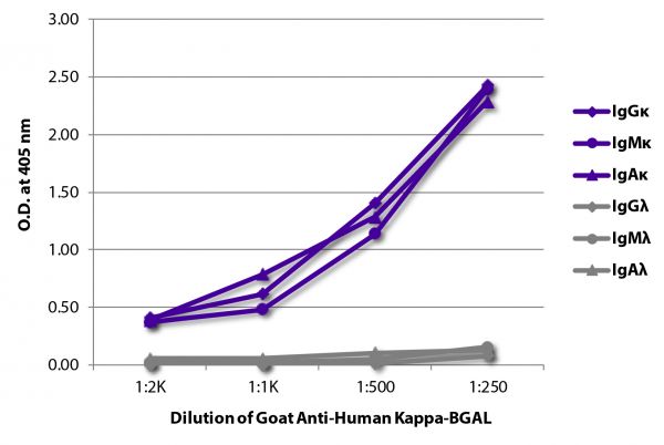 ELISA plate was coated with purified human IgGκ, IgMκ, IgAκ, IgGλ, IgMλ, and IgAλ.  Immunoglobulins were detected with serially diluted Goat Anti-Human Kappa-BGAL (SB Cat. No. 2060-06).
