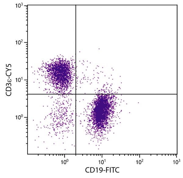 BALB/c mouse splenocytes were stained with Hamster Anti-Mouse CD3ε-CY5 (SB Cat. No. 1531-15) and Rat Anti-Mouse CD19-FITC (SB Cat. No. 1575-02).