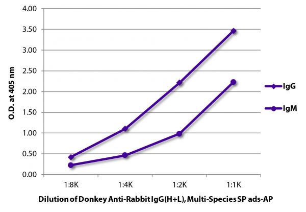 ELISA plate was coated with purified rabbit IgG and IgM.  Immunoglobulins were detected with serially diluted Donkey Anti-Rabbit IgG(H+L), Multi-Species SP ads-AP (SB Cat. No. 6442-04).