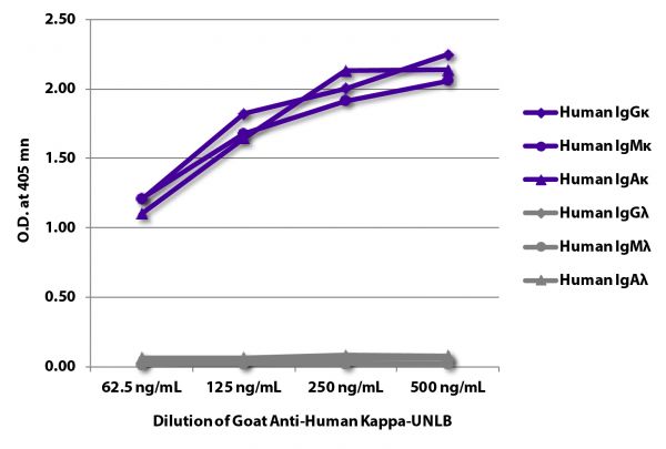 ELISA plate was coated with purified human IgGκ, IgMκ, IgAκ, IgGλ, IgMλ, and IgAλ. Immunoglobulins were detected with serially diluted Goat Anti-Human Kappa-UNLB (SB Cat. No. 2060-01) followed by Mouse Anti-Goat IgG Fc-HRP (SB Cat. No. 6158-05).