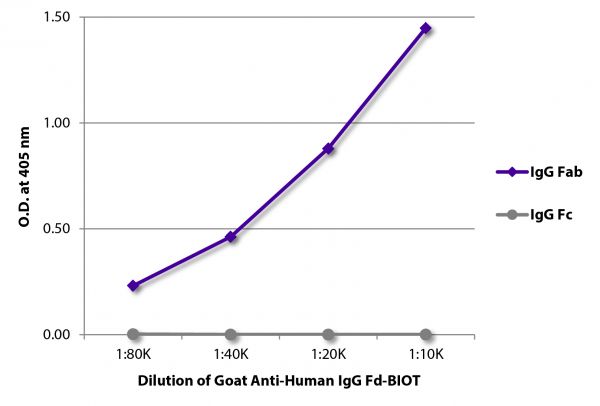ELISA plate was coated with purified human IgG Fab and IgG Fc.  Immunoglobulins were detected with serially diluted Goat Anti-Human IgG Fd-BIOT (SB Cat. No. 2046-08) followed by Streptavidin-HRP (SB Cat. No. 7105-05).