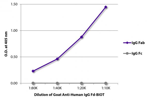 ELISA plate was coated with purified human IgG Fab and IgG Fc. Immunoglobulins were detected with serially diluted Goat Anti-Human IgG Fd-BIOT (SB Cat. No. 2046-08) followed by Streptavidin-HRP (SB Cat. No. 7105-05).
