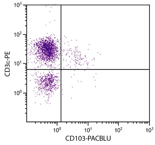 BALB/c mouse mesenteric lymph node cells were stained with Hamster Anti-Mouse CD103-PACBLU (SB Cat. No. 1810-26) and Rat Anti-Mouse CD3ε-PE (SB Cat. No. 1535-09).