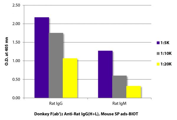 ELISA plate was coated with purified rat IgG and IgM.  Immunoglobulins were detected with Donkey F(ab')<sub>2</sub> Anti-Rat IgG(H+L), Mouse SP ads-BIOT (SB Cat. No. 6431-08) followed by Streptavidin-HRP (SB Cat. No. 7105-05).