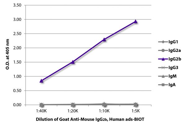 ELISA plate was coated with purified mouse IgG<sub>1</sub>, IgG<sub>2a</sub>, IgG<sub>2b</sub>, IgG<sub>3</sub>, IgM, and IgA. Immunoglobulins were detected with serially diluted Goat Anti-Mouse IgG<sub>2b</sub>, Human ads-BIOT (SB Cat. No. 1090-08) followed by Streptavidin-HRP (SB Cat. No. 7100-05).