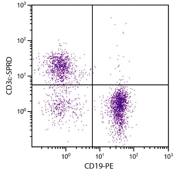 BALB/c mouse splenocytes were stained with Hamster Anti-Mouse CD3ε-SPRD (SB Cat. No. 1530-13) and Rat Anti-Mouse CD19-PE (SB Cat. No. 1575-09).