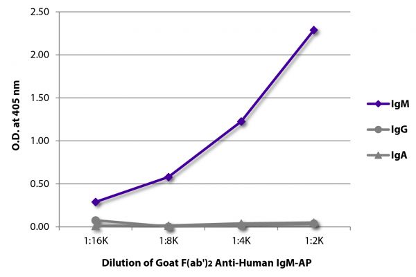 ELISA plate was coated with purified human IgM, IgG, and IgA.  Immunoglobulins were detected with serially diluted Goat F(ab')<sub>2</sub> Anti-Human IgM-AP (SB Cat. No. 2022-04).