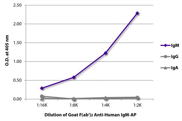 ELISA plate was coated with purified human IgM, IgG, and IgA. Immunoglobulins were detected with serially diluted Goat F(ab')<sub>2</sub> Anti-Human IgM-AP (SB Cat. No. 2022-04).