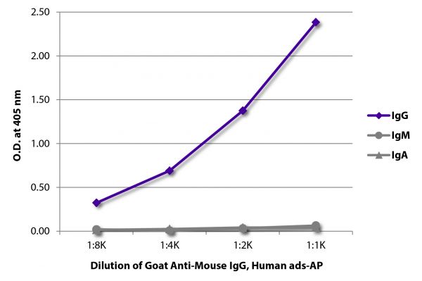 ELISA plate was coated with purified mouse IgG, IgM, and IgA.  Immunoglobulins were detected with serially diluted Goat Anti-Mouse IgG, Human ads-AP (SB Cat. No. 1030-04).