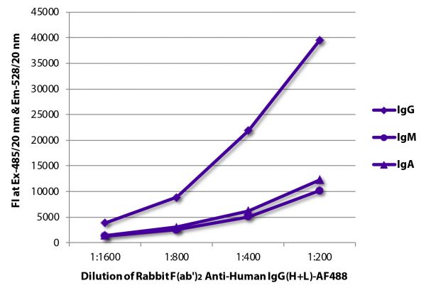FLISA plate was coated with purified human IgG, IgM, and IgA. Immunoglobulins were detected with Rabbit F(ab')<sub>2</sub> Anti-Human IgG(H+L)-AF488 (SB Cat. No. 6000-30).