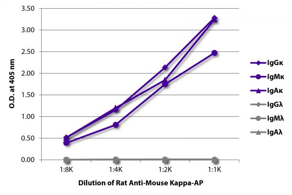 ELISA plate was coated with purified mouse IgGκ, IgMκ, IgAκ, IgGλ, IgMλ, and IgAλ.  Immunoglobulins were detected with serially diluted Rat Anti-Mouse Kappa-AP (SB Cat. No. 1170-04).