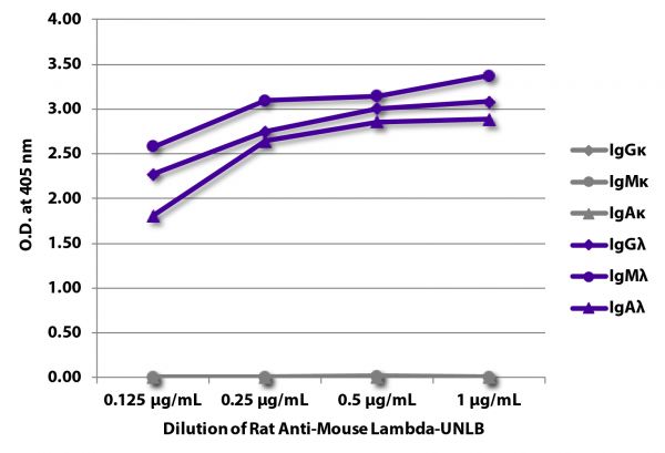 ELISA plate was coated with purified mouse IgGκ, IgMκ, IgAκ, IgGλ, IgMλ, and IgAλ. Immunoglobulins were detected with serially diluted Rat Anti-Mouse Lambda-UNLB (SB Cat. No. 1175-01) followed by Mouse Anti-Rat IgG<sub>2b</sub>-HRP (SB Cat. No. 3070-05).