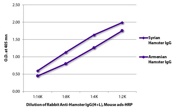ELISA plate was coated with purified Syrian hamster IgG and Armenian hamster IgG. Immunoglobulins were detected with Rabbit Anti-Hamster IgG(H+L), Mouse ads-HRP (SB Cat. No. 6211-05).