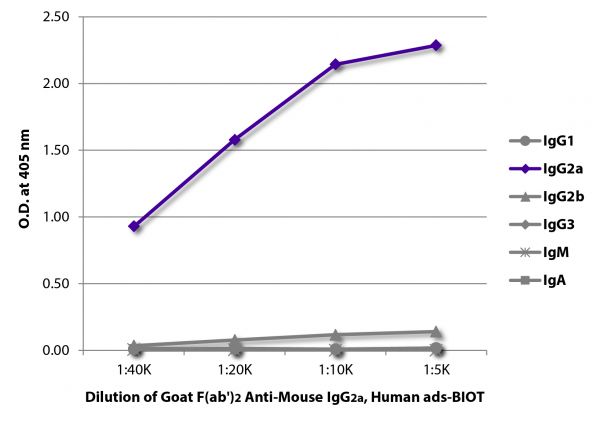 ELISA plate was coated with purified mouse IgG<sub>1</sub>, IgG<sub>2a</sub>, IgG<sub>2b</sub>, IgG<sub>3</sub>, IgM, and IgA. Immunoglobulins were detected with serially diluted Goat F(ab')<sub>2</sub> Anti-Mouse IgG<sub>2a</sub>, Human ads-BIOT (SB Cat. No. 1082-08) followed by Streptavidin-HRP (SB Cat. No. 7100-05).