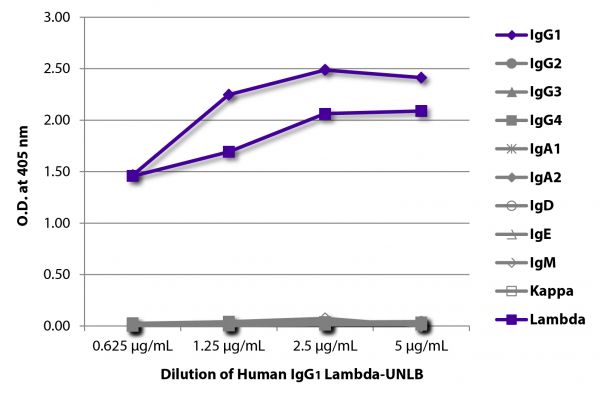 ELISA plate was coated with serially diluted Human IgG<sub>1</sub> Lambda-UNLB (SB Cat. No. 0151L-01).  Immunoglobulin was detected with Mouse Anti-Human IgG<sub>1</sub> Hinge-BIOT (SB Cat. No. 9052-08), Mouse Anti-Human IgG<sub>2</sub> Fc-BIOT (SB Cat. No. 9060-08), Mouse Anti-Human IgG<sub>3</sub> Hinge-BIOT (SB Cat. No. 9210-08), Mouse Anti-Human IgG<sub>4</sub> pFc'-BIOT (SB Cat. No. 9190-08), Mouse Anti-Human IgA<sub>1</sub>-BIOT (SB Cat. No. 9130-08), Mouse Anti-Human IgA<sub>2</sub>-BIOT (SB Cat. No. 9140-08),  Mouse Anti-Human IgD-BIOT (SB Cat. No. 9030-08), Mouse Anti-Human IgE Fc-BIOT (SB Cat. No. 9160-08), Mouse Anti-Human IgM-BIOT (SB Cat. No. 9020-08), Mouse Anti-Human Kappa-BIOT (SB Cat. No. 9230-08), and Mouse Anti-Human Lambda-BIOT (SB Cat. No. 9180-08) followed by Streptavidin-HRP (SB Cat. No. 7100-05) and quantified.