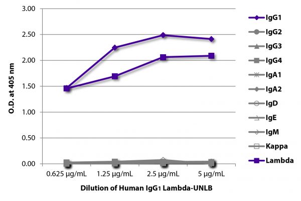 ELISA plate was coated with serially diluted Human IgG<sub>1</sub> Lambda-UNLB (SB Cat. No. 0151L-01). Immunoglobulin was detected with Mouse Anti-Human IgG<sub>1</sub> Hinge-BIOT (SB Cat. No. 9052-08), Mouse Anti-Human IgG<sub>2</sub> Fc-BIOT (SB Cat. No. 9060-08), Mouse Anti-Human IgG<sub>3</sub> Hinge-BIOT (SB Cat. No. 9210-08), Mouse Anti-Human IgG<sub>4</sub> pFc'-BIOT (SB Cat. No. 9190-08), Mouse Anti-Human IgA<sub>1</sub>-BIOT (SB Cat. No. 9130-08), Mouse Anti-Human IgA<sub>2</sub>-BIOT (SB Cat. No. 9140-08), Mouse Anti-Human IgD-BIOT (SB Cat. No. 9030-08), Mouse Anti-Human IgE Fc-BIOT (SB Cat. No. 9160-08), Mouse Anti-Human IgM-BIOT (SB Cat. No. 9020-08), Mouse Anti-Human Kappa-BIOT (SB Cat. No. 9230-08), and Mouse Anti-Human Lambda-BIOT (SB Cat. No. 9180-08) followed by Streptavidin-HRP (SB Cat. No. 7100-05) and quantified.