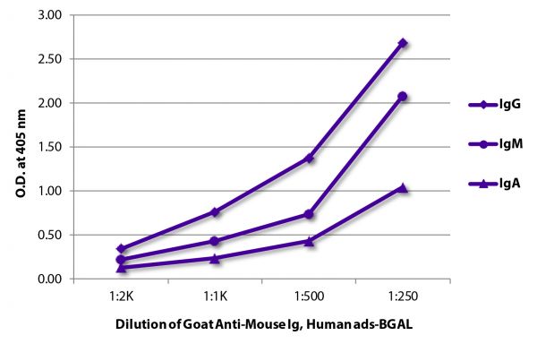 ELISA plate was coated with purified mouse IgG, IgM, and IgA.  Immunoglobulins were detected with serially diluted Goat Anti-Mouse Ig, Human ads-BGAL (SB Cat. No. 1010-06).