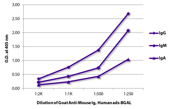 ELISA plate was coated with purified mouse IgG, IgM, and IgA. Immunoglobulins were detected with serially diluted Goat Anti-Mouse Ig, Human ads-BGAL (SB Cat. No. 1010-06).