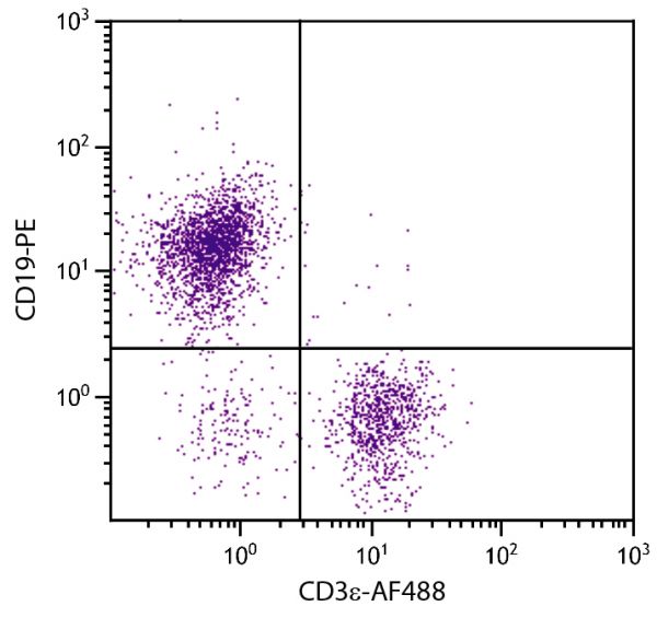 BALB/c mouse splenocytes were stained with Hamster Anti-Mouse CD3ε-AF488 (SB Cat. No. 1530-30) and Rat Anti-Mouse CD19-PE (SB Cat. No. 1575-09).