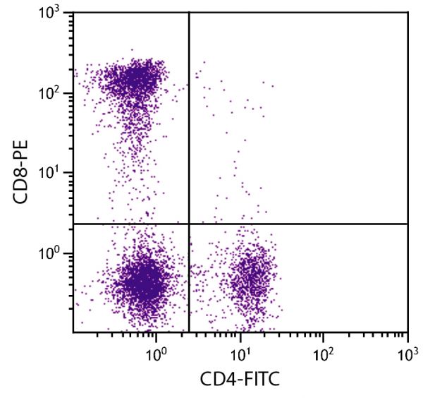 Feline peripheral blood lymphocytes were stained with Mouse Anti-Feline CD8-PE (SB Cat. No. 8120-09) and Mouse Anti-Feline CD4-FITC (SB Cat. No. 8130-02).