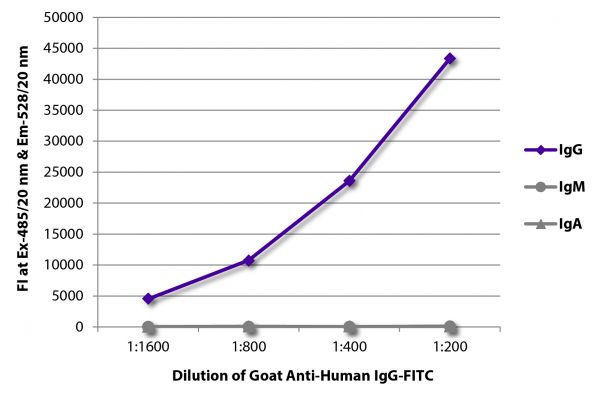 FLISA plate was coated with purified human IgG, IgM, and IgA. Immunoglobulins were detected with serially diluted Goat Anti-Human IgG-FITC (SB Cat. No. 2040-02).