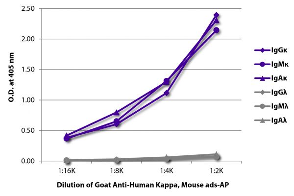 ELISA plate was coated with purified human IgGκ, IgMκ, IgAκ, IgGλ, IgMλ, and IgAλ. Immunoglobulins were detected with serially diluted Goat Anti-Human Kappa, Mouse ads-AP (SB Cat. No. 2061-04).
