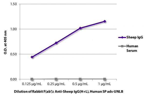 ELISA plate was coated with purified sheep IgG and human serum. Immunoglobulins and serum were detected with Rabbit F(ab')<sub>2</sub> Anti-Sheep IgG(H+L), Human SP ads-UNLB (SB Cat. No. 6016-01) followed by Goat Anti-Rabbit IgG(H+L), Mouse/Human ads-HRP (SB Cat. No. 4050-05).