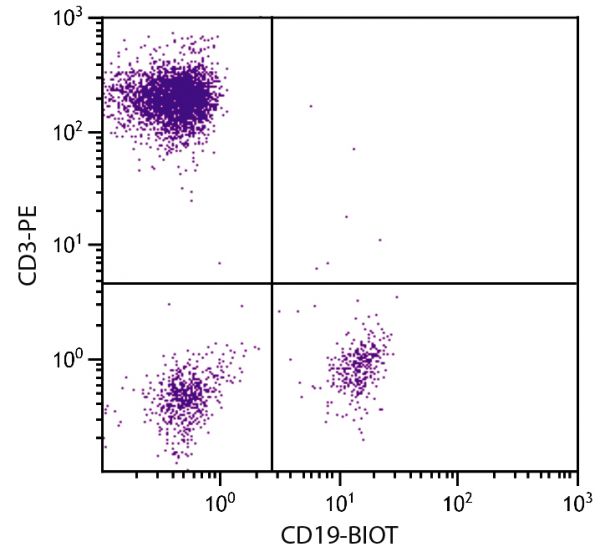 Human peripheral blood lymphocytes were stained with Mouse Anti-Human CD19-BIOT (SB Cat. No. 9340-08) and Mouse Anti-Human CD3-PE (SB Cat. No. 9515-09) followed by Streptavidin-FITC (SB Cat. No. 7100-02).