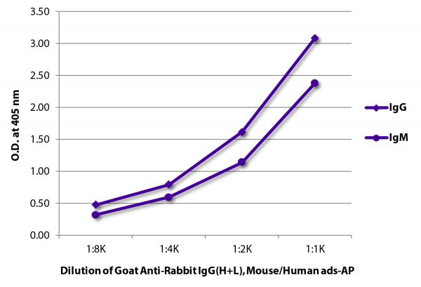 ELISA plate was coated with purified rabbit IgG and IgM. Immunoglobulins were detected with serially diluted Goat Anti-Rabbit IgG(H+L), Mouse/Human ads-AP (SB Cat. No. 4050-04).