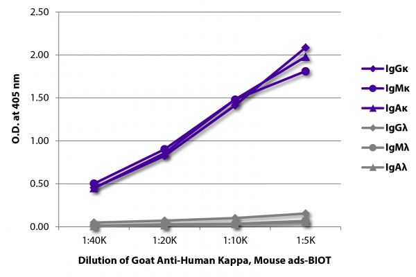 ELISA plate was coated with purified human IgGκ, IgMκ, IgAκ, IgGλ, IgMλ, and IgAλ.  Immunoglobulins were detected with serially diluted Goat Anti-Human Kappa, Mouse ads-BIOT (SB Cat. No. 2061-08) followed by Streptavidin-HRP (SB Cat. No. 7100-05).
