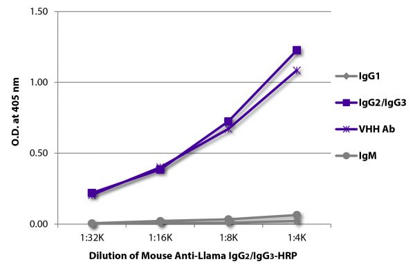 ELISA plate was coated with purified llama IgG<sub>1</sub>, IgG<sub>2</sub>/IgG<sub>3</sub>,  IgM, and a VHH antibody.  Immunoglobulins were detected with Mouse Anti-Llama IgG<sub>2</sub>/IgG<sub>3</sub>-HRP (SB Cat. No. 5880-05).