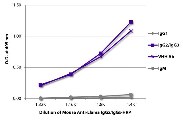 Anti-Brn-2 (POU3F2) Antibody, clone 8C4.2 clone 8C4.2, from mouse