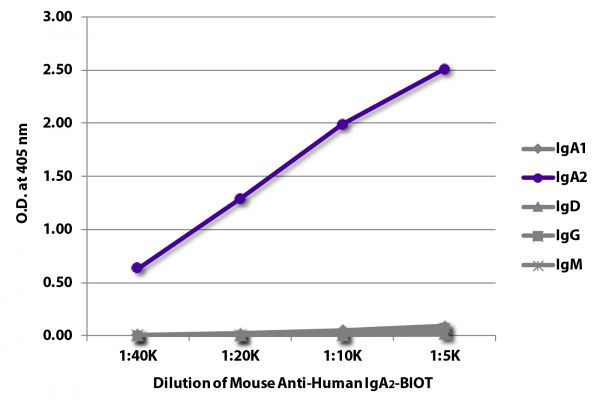 ELISA plate was coated with purified human IgA<sub>1</sub>, IgA<sub>2</sub>, IgD, IgG, and IgM. Immunoglobulins were detected with serially diluted Mouse Anti-Human IgA<sub>2</sub>-BIOT (SB Cat. No. 9140-08) followed by Streptavidin-HRP (SB Cat. No. 7100-05).