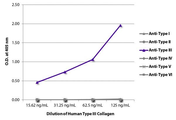 ELISA plate was coated with serially diluted Human Type III Collagen (SB Cat. No. 1230-01S). Purified collagen was detected with Goat Anti-Type I Collagen-BIOT (SB Cat. No. 1310-08), Goat Anti-Type II Collagen-BIOT (SB Cat. No. 1320-08), Goat Anti-Type III Collagen-BIOT (SB Cat. No. 1330-08), Goat Anti-Type IV Collagen-BIOT (SB Cat. No. 1340-08), Goat Anti-Type V Collagen-BIOT (SB Cat. No. 1350-08), and Goat Anti-Type VI Collagen-BIOT (SB Cat. No. 1360-08) followed by Streptavidin-HRP (SB Cat. No. 7100-05).