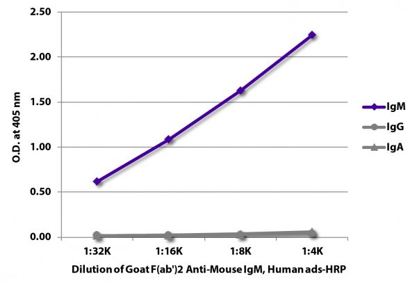 ELISA plate was coated with purified mouse IgM, IgG, and IgA. Immunoglobulins were detected with serially diluted Goat F(ab')<sub>2</sub> Anti-Mouse IgM, Human ads-HRP (SB Cat. No. 1022-05).
