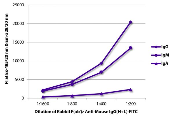 FLISA plate was coated with purified mouse IgG, IgM, and IgA.  Immunoglobulins were detected with serially diluted Rabbit F(ab')<sub>2</sub> Anti-Mouse IgG(H+L)-FITC (SB Cat. No. 6120-02).