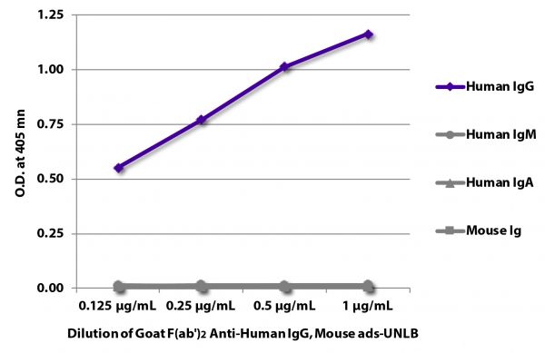ELISA plate was coated with purified human IgG, IgM, and IgA, and mouse IgG, IgM, and IgA (mouse Ig). Immunoglobulins were detected with serially diluted Goat F(ab')<sub>2</sub> Anti-Human IgG, Mouse ads-UNLB (SB Cat. No. 2043-01) followed by Swine Anti-Goat IgG(H+L), Human/Rat/Mouse SP ads-HRP (SB Cat. No. 6300-05).