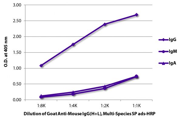 ELISA plate was coated with purified mouse IgG, IgM, and IgA.  Immunoglobulins were detected with serially diluted Goat Anti-Mouse IgG(H+L), Multi-Species SP ads-HRP (SB Cat. No. 1038-05).
