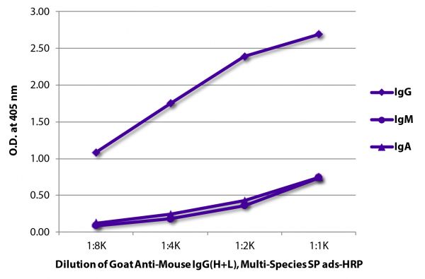 ELISA plate was coated with purified mouse IgG, IgM, and IgA. Immunoglobulins were detected with serially diluted Goat Anti-Mouse IgG(H+L), Multi-Species SP ads-HRP (SB Cat. No. 1038-05).
