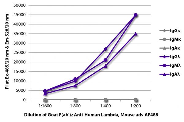 FLISA plate was coated with purified human IgGκ, IgMκ, IgAκ, IgGλ, IgMλ, and IgAλ. Immunoglobulins were detected with serially diluted Goat F(ab')<sub>2</sub> Anti-Human Lambda, Mouse ads-AF488 (SB Cat. No. 2073-30).