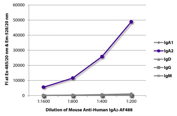 FLISA plate was coated with purified human IgA<sub>1</sub>, IgA<sub>2</sub>, IgD, IgG, and IgM. Immunoglobulins were detected with serially diluted Mouse Anti-Human IgA<sub>2</sub>-AF488 (SB Cat. No. 9140-30).