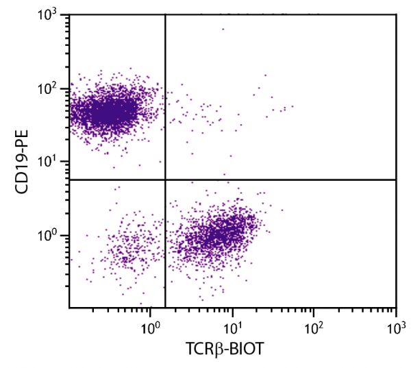 BALB/c mouse splenocytes were stained with Hamster Anti-Mouse TCRβ-BIOT (SB Cat. No. 1785-08) and Rat Anti-Mouse CD19-PE (SB Cat. No. 1575-09) followed by Streptavidin-FITC (SB Cat. No. 7100-02).